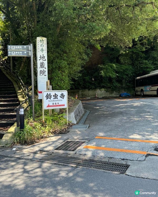 大阪直衝西芳寺攻略🗺️🍵