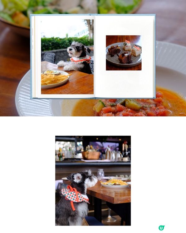 Resturant Week 回歸，邊個話寵物冇份？🐶