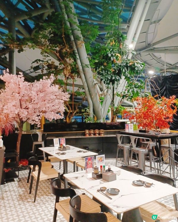 數碼港⽇菜🤩！閨蜜⾏超fit😋。