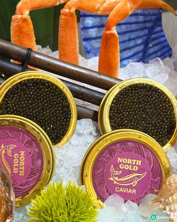 超豪華升級版極品海鮮拼盤放題 全單 75 折實現海鮮自由