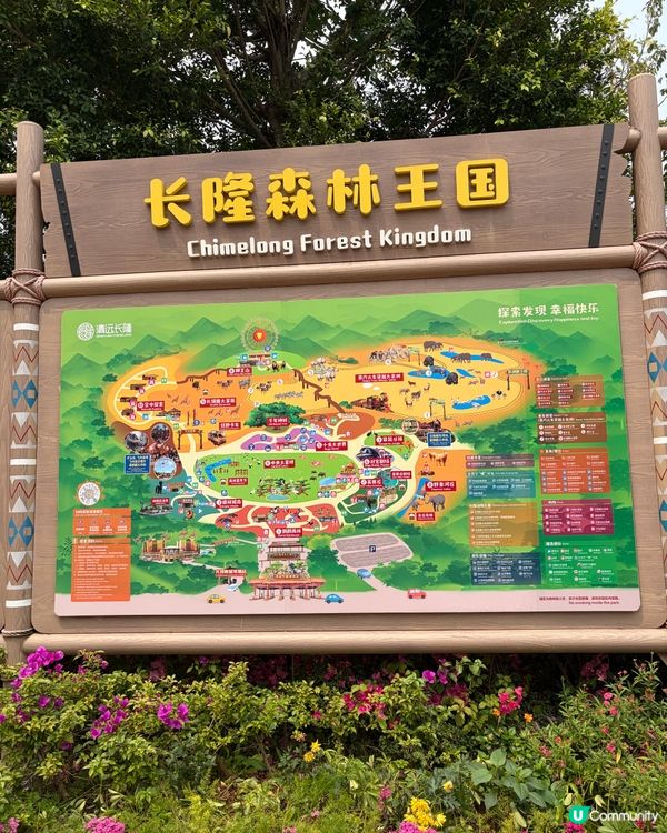 🦒清遠長隆必玩森林王國🦓放電神樹樂園