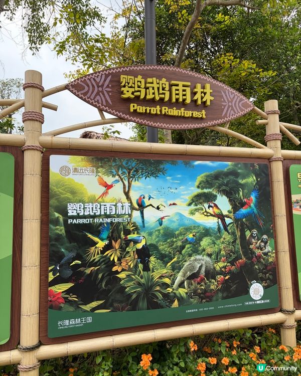 🦒清遠長隆必玩森林王國🦓放電神樹樂園