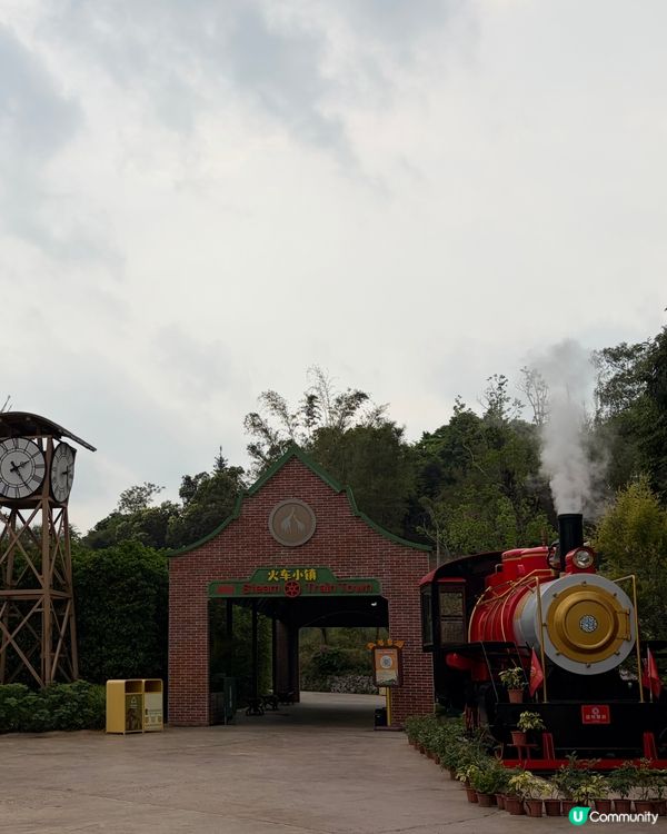 🦒清遠長隆必玩森林王國🦓放電神樹樂園