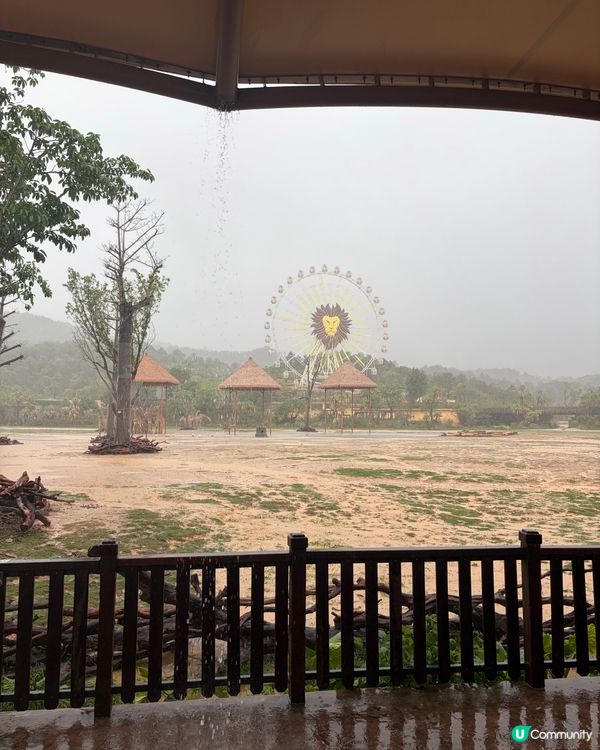 🦒清遠長隆必玩森林王國🦓放電神樹樂園