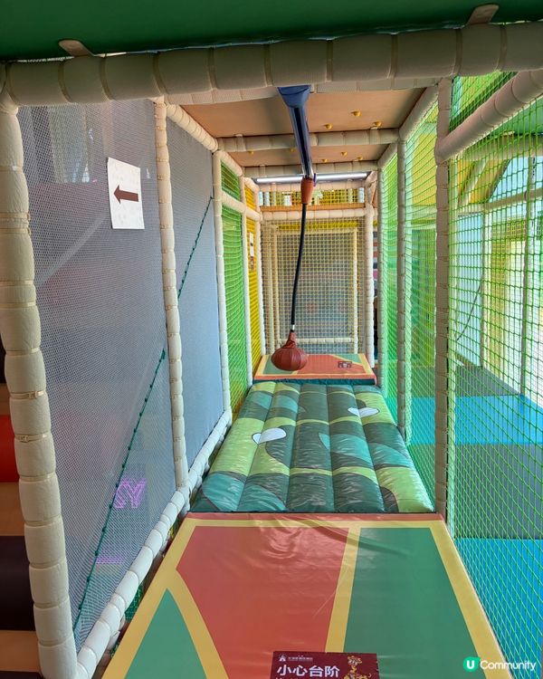 🦒清遠長隆必玩森林王國🦓放電神樹樂園