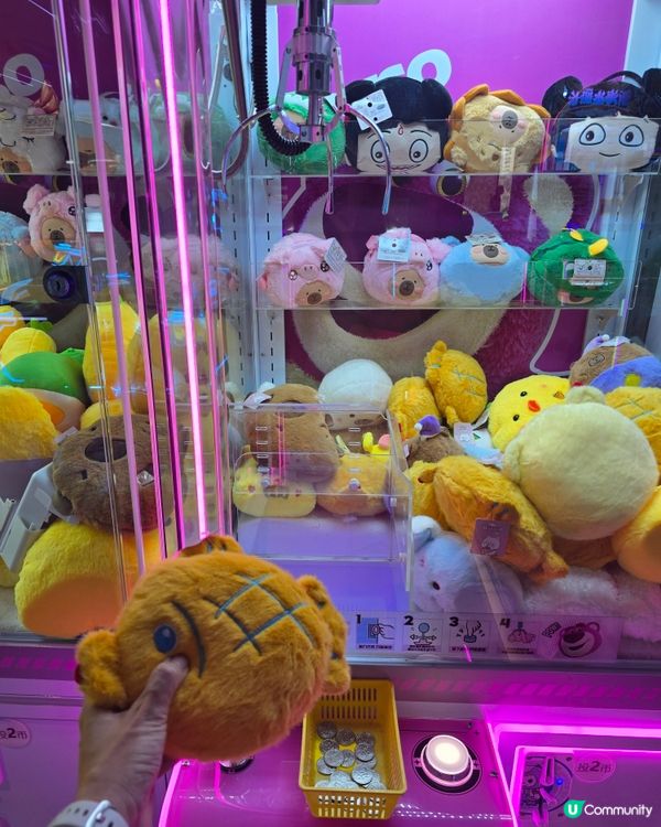 南山奇拉湯泉🥳 水戰+打機⚔️