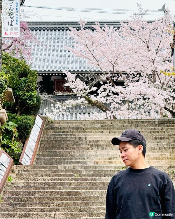 有馬溫泉-日本三大古湯，神戶出發1小時直達