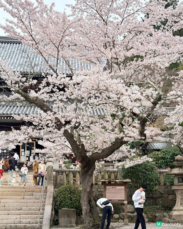 有馬溫泉-日本三大古湯，神戶出發1小時直達
