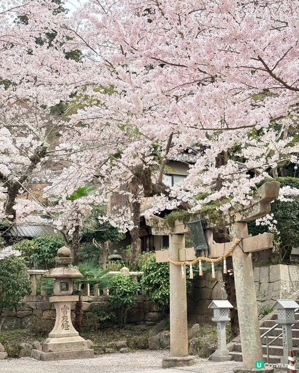 有馬溫泉-日本三大古湯，神戶出發1小時直達