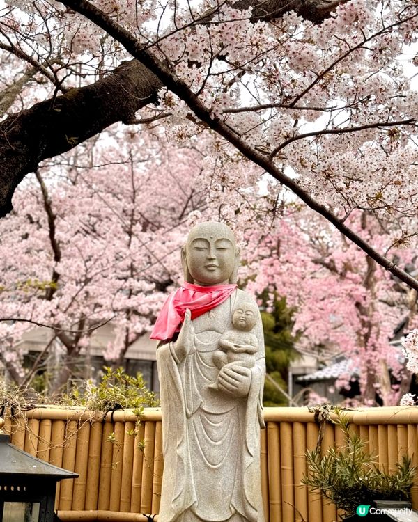 有馬溫泉-日本三大古湯，神戶出發1小時直達