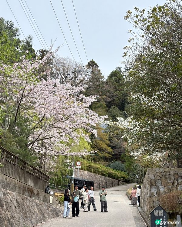 有馬溫泉-日本三大古湯，神戶出發1小時直達