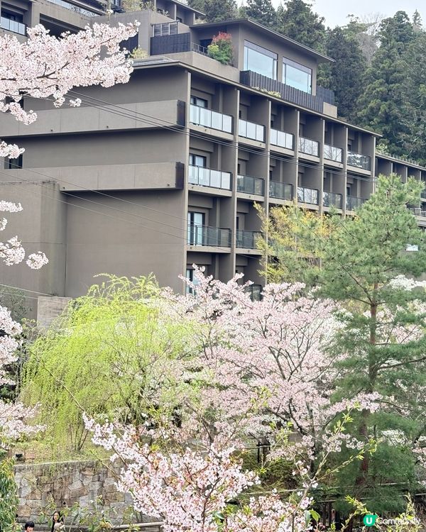 有馬溫泉-日本三大古湯，神戶出發1小時直達