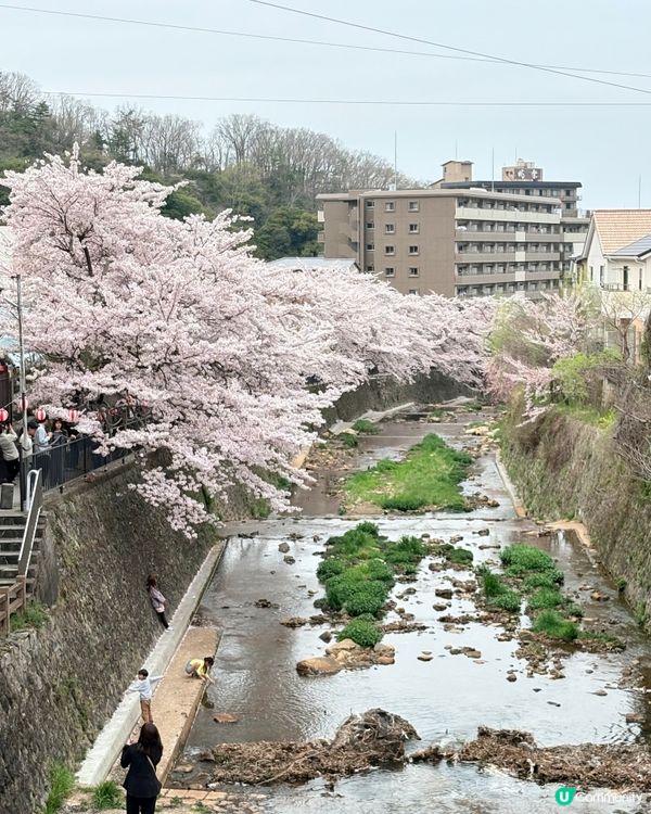 有馬溫泉-日本三大古湯，神戶出發1小時直達