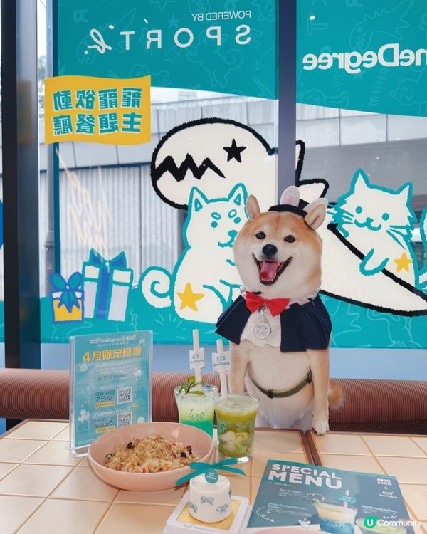 4月期間限定✨OneDegree x HOOMAN café