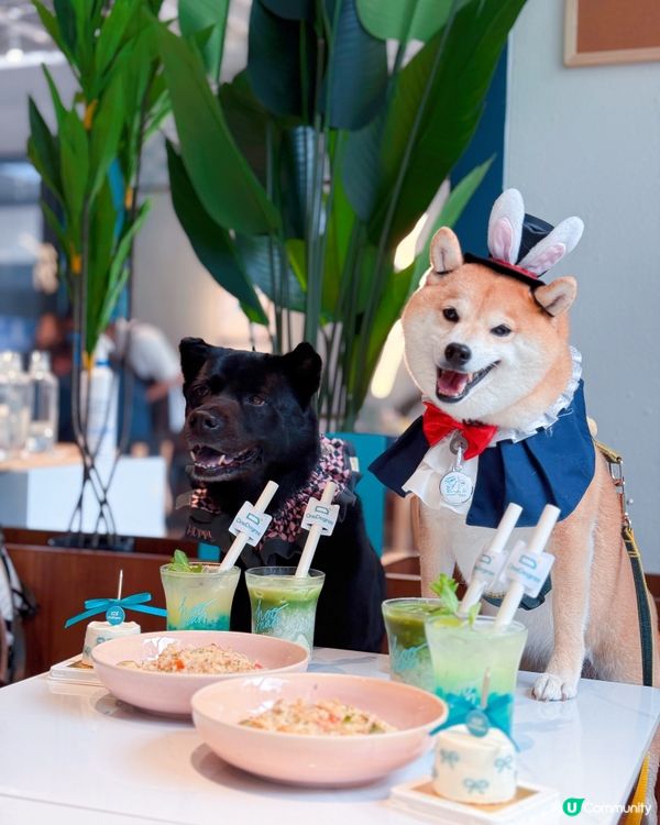 4月期間限定✨OneDegree x HOOMAN café