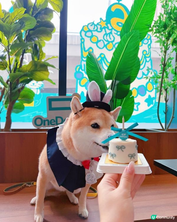 4月期間限定✨OneDegree x HOOMAN café