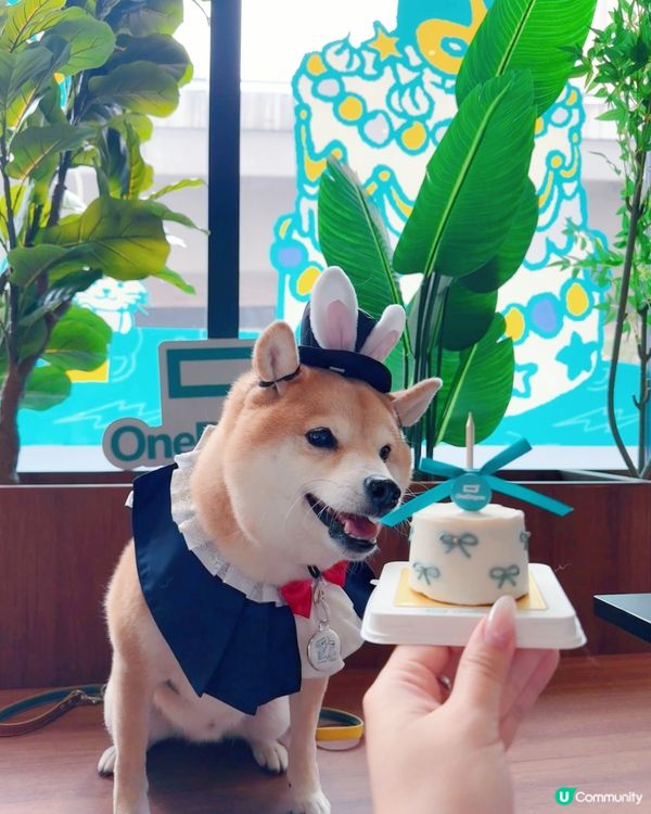 4月期間限定✨OneDegree x HOOMAN café