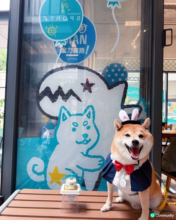 4月期間限定✨OneDegree x HOOMAN café