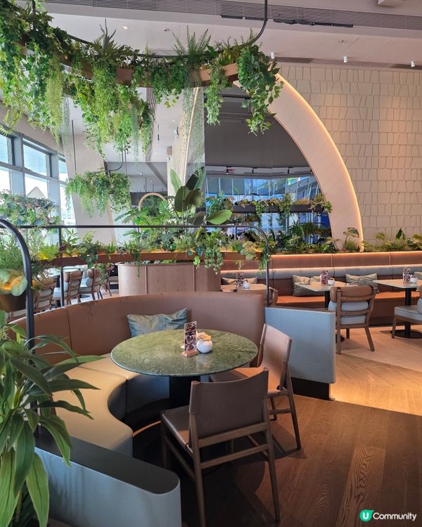 📍深圳必吃!澳洲過江龍🍝Auvers梵高森林Brunch