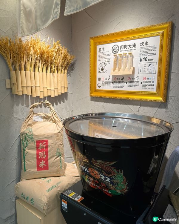 🍅限定蕃茄紅燴 x 爆汁和牛漢堡排