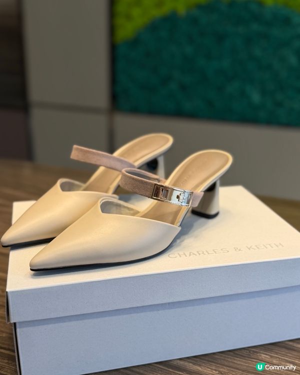 👠 2026 涼鞋必備！😎