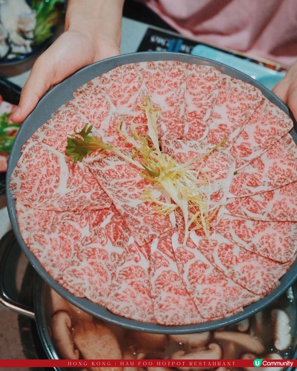 佐敦海鮮火鍋夜｜厚福館🏮