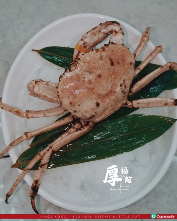 佐敦海鮮火鍋夜｜厚福館🏮