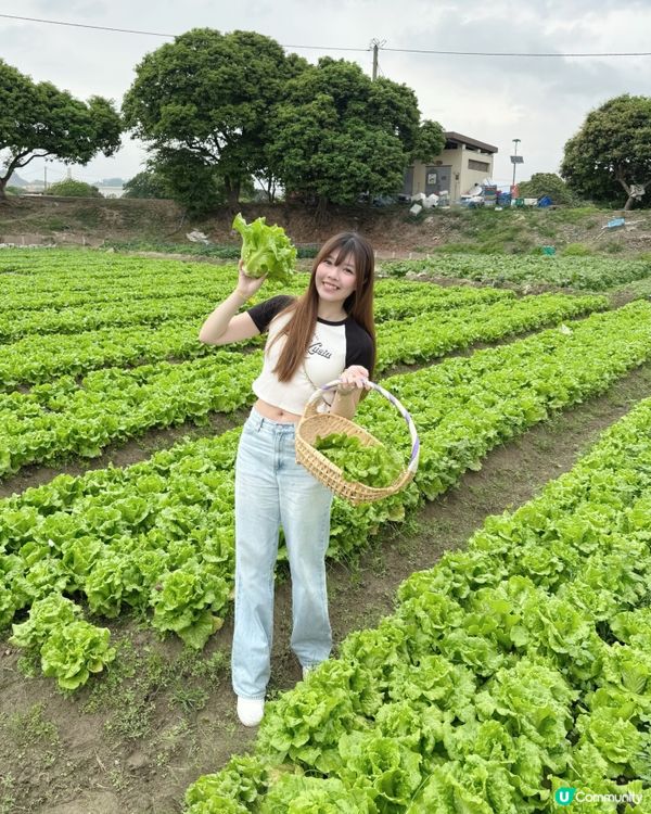 竹夠好玩♻️自製竹筒飯、醃雞摘菜自己嚟