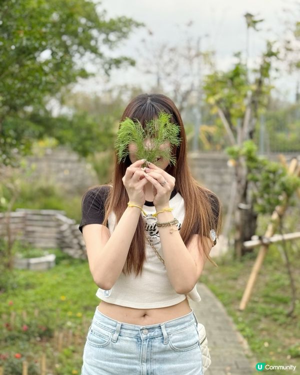 竹夠好玩♻️自製竹筒飯、醃雞摘菜自己嚟