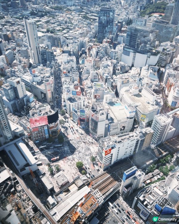 東京必去景點🇯🇵 SHIBUYA SKY實測✨ 夏天去會後悔🥵