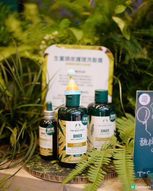 護膚tips 💚The Body Shop 50 周年