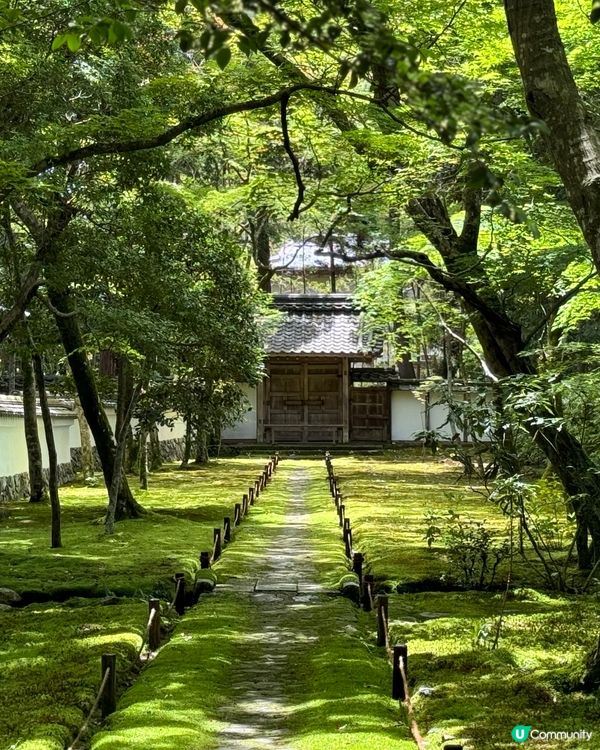 京都西芳寺💚翠綠苔寺🌿🌞參觀攻略