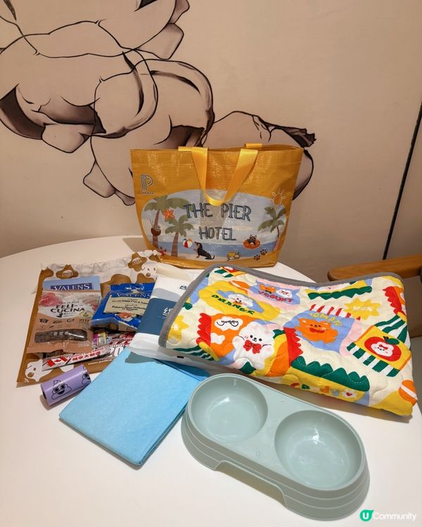 🧺帶毛孩去Dogcation🏨
