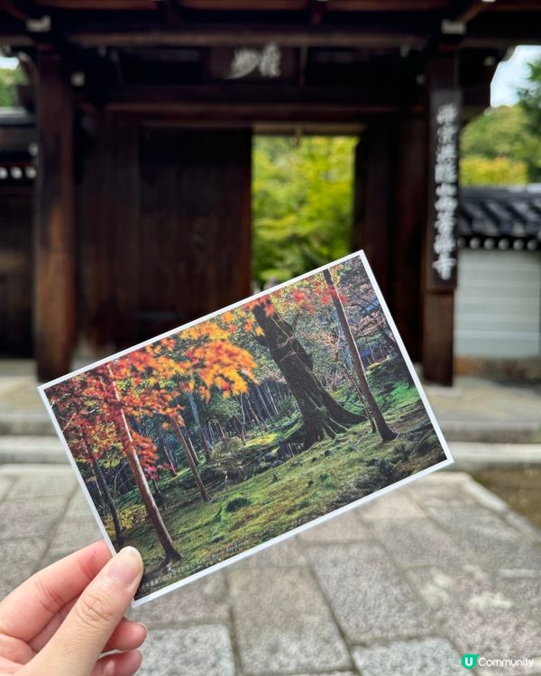 京都西芳寺免費明信片get✅