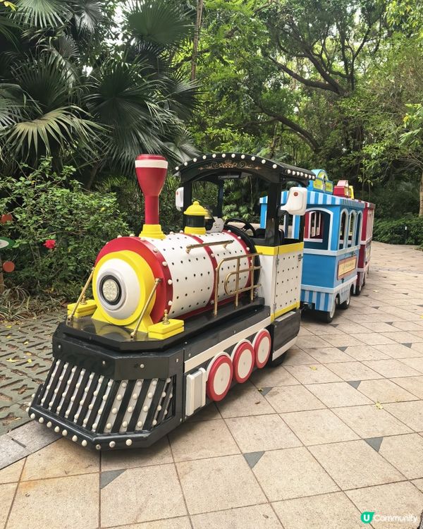 🏝️ 五星級海南沙灘泳池玩轉夏天！