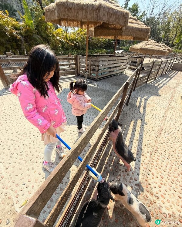 珠海海泉灣！⛲️ 2日1夜酒店+浸溫泉+親子放電樂園