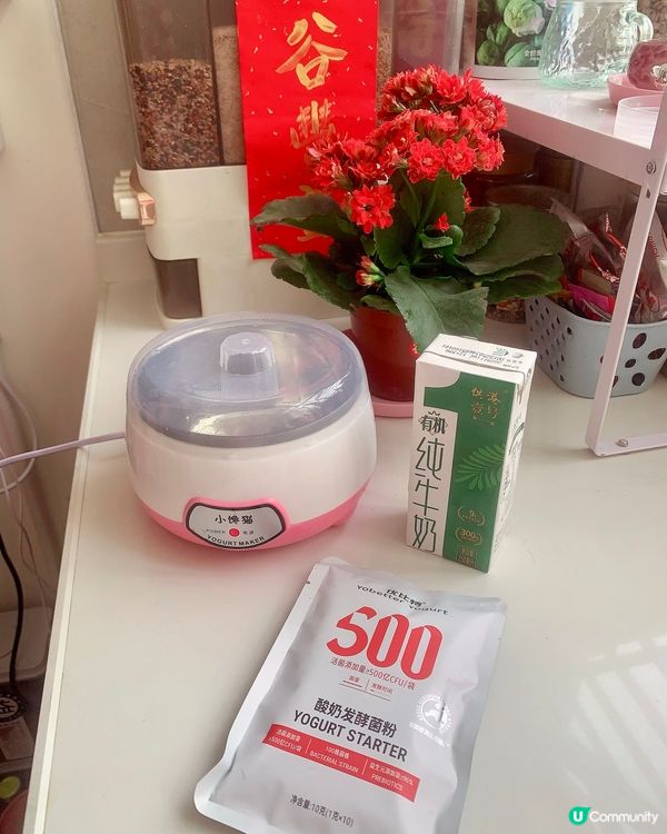 自製乳酪🫕很有趣🤗