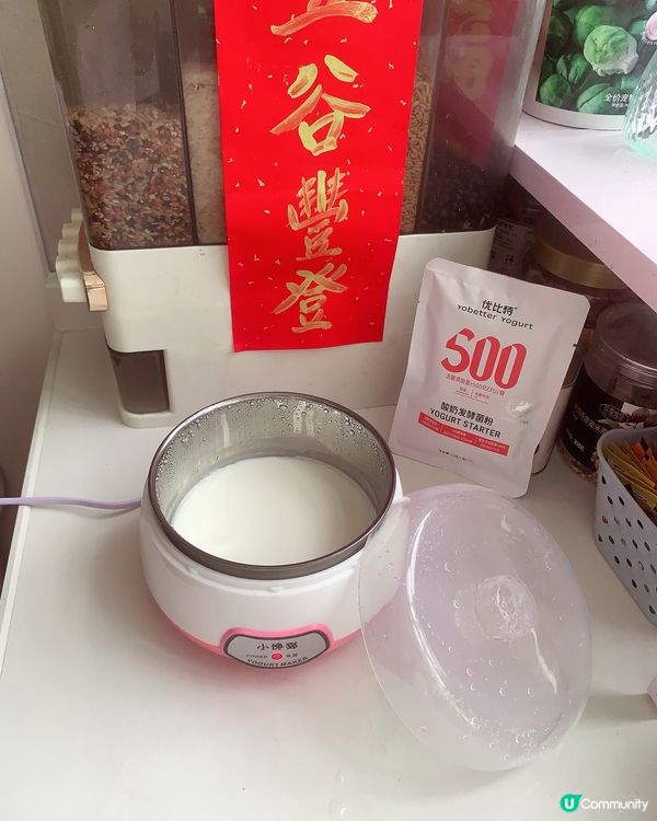 自製乳酪🫕很有趣🤗