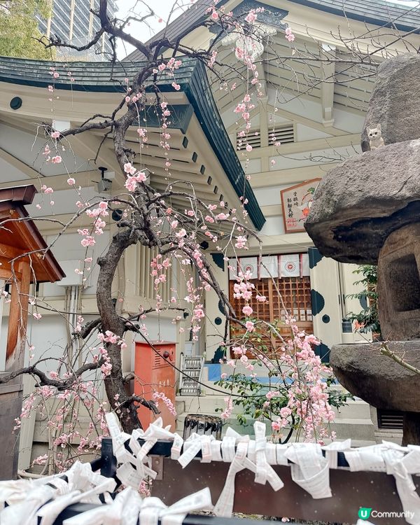 大板戀人的聖地神社推介-超靚百彩刺繡御守