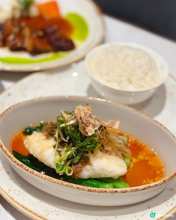 春日可可半自助晚餐🤤！🍫 合和酒店大堂咖啡廳