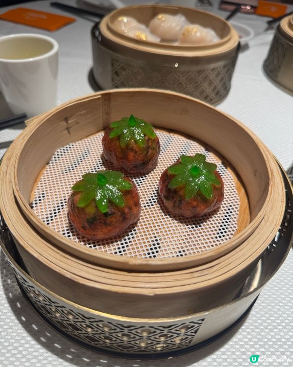 🇸🇬 新加坡 - JUMBO Premium 