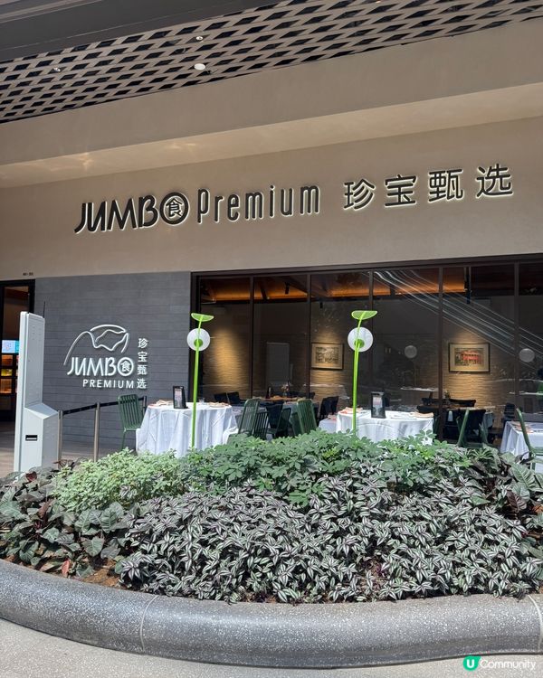 🇸🇬 新加坡 - JUMBO Premium 