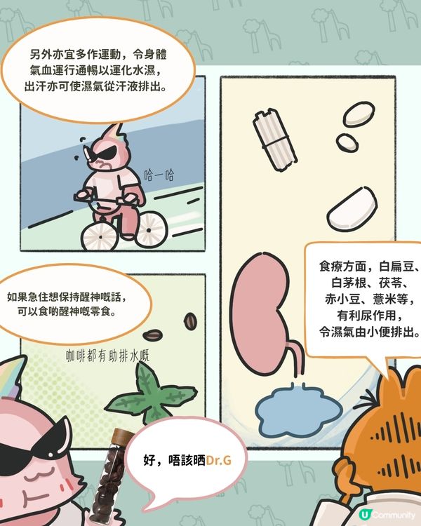 【🌲EC+Dr.G 養生之路 - 優雅地 捱世界】