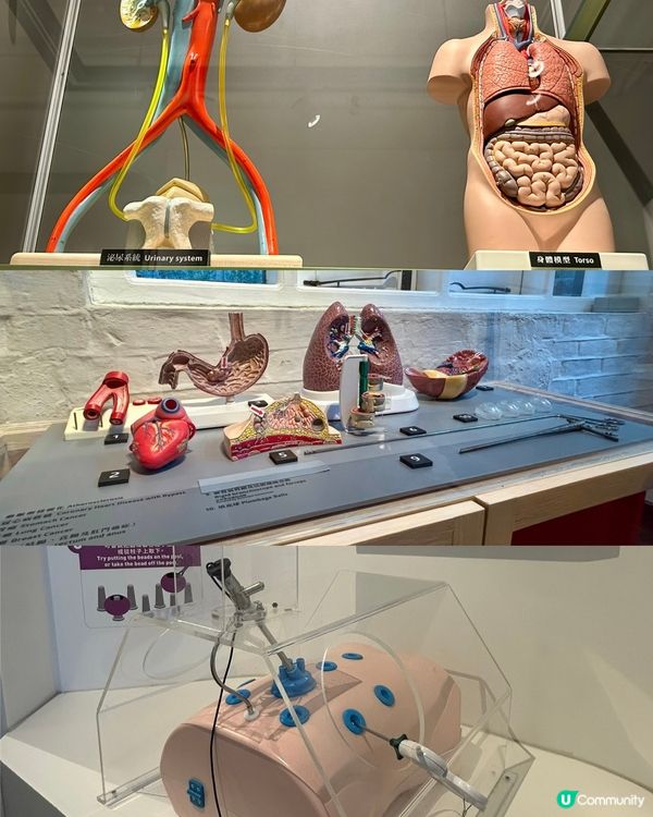 紅磚古蹟親子遊！📍香港醫學博物館 #親子👶🏻👨‍👩‍👧