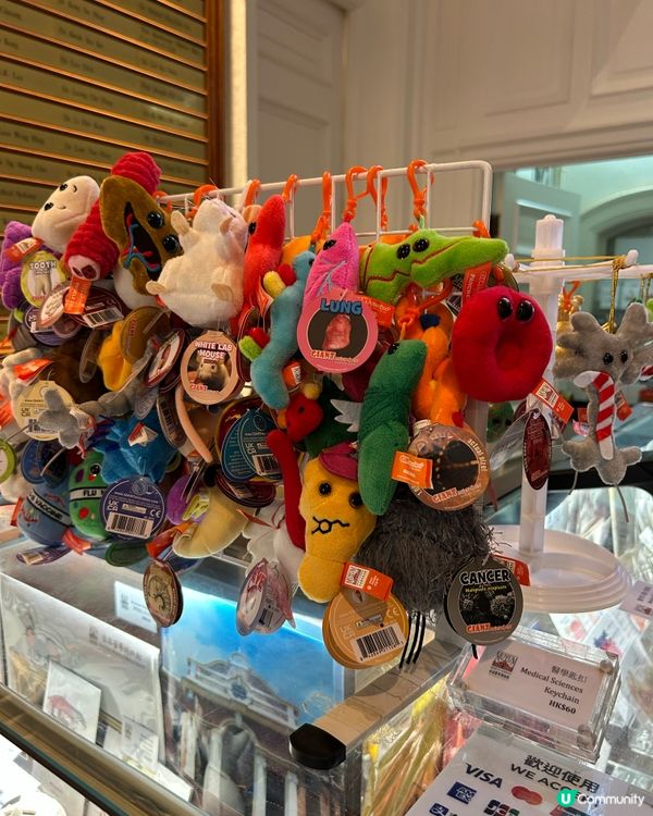 紅磚古蹟親子遊！📍香港醫學博物館 #親子👶🏻👨‍👩‍👧