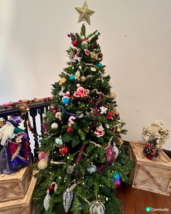 紅磚古蹟親子遊！📍香港醫學博物館 #親子👶🏻👨‍👩‍👧