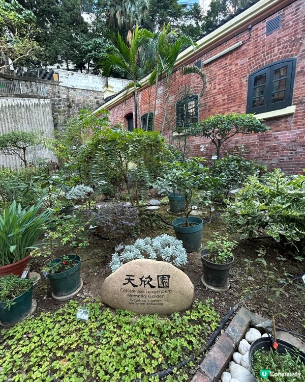 紅磚古蹟親子遊！📍香港醫學博物館 #親子👶🏻👨‍👩‍👧