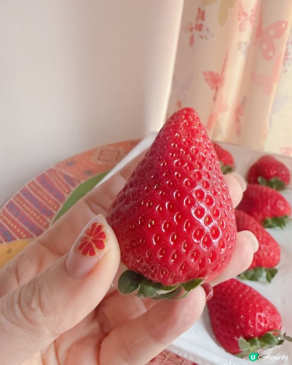 大家有去木津市場買生果？🍓揀小林絕對唔錯！