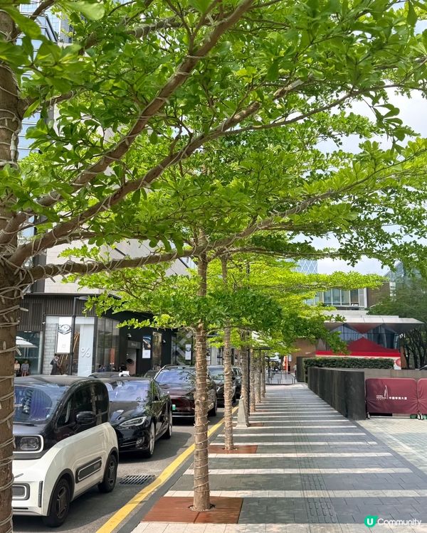 【深圳灣萬象城復活節攻略🐣🌸】