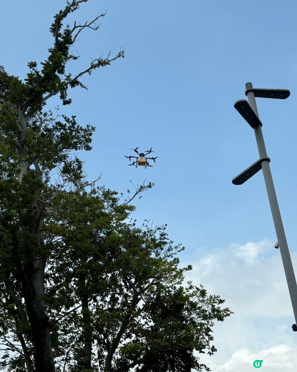 【深圳灣萬象城復活節攻略🐣🌸】